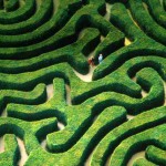 Longleat-Hedge-Maze_03