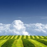 ws_Grass_Green_Field_Over_Clouds_1280x1024
